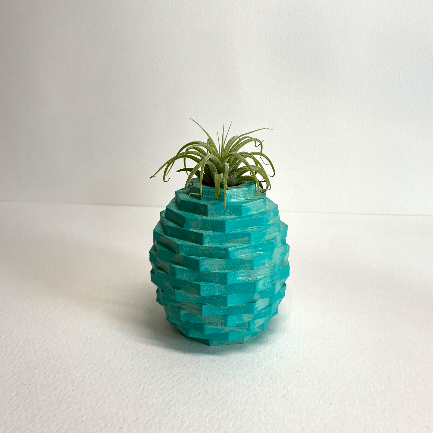 Pineapple, Air Plant Home Decor