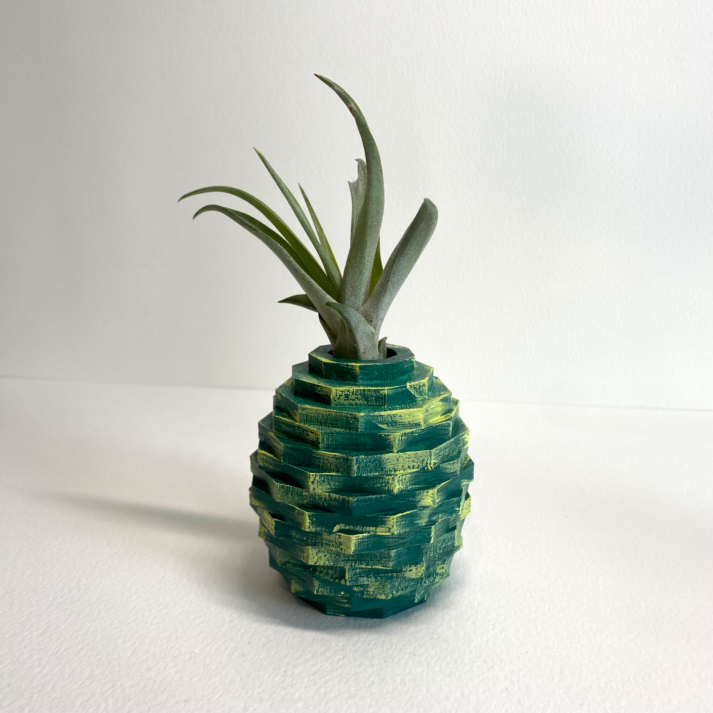 Pineapple, Air Plant Home Decor