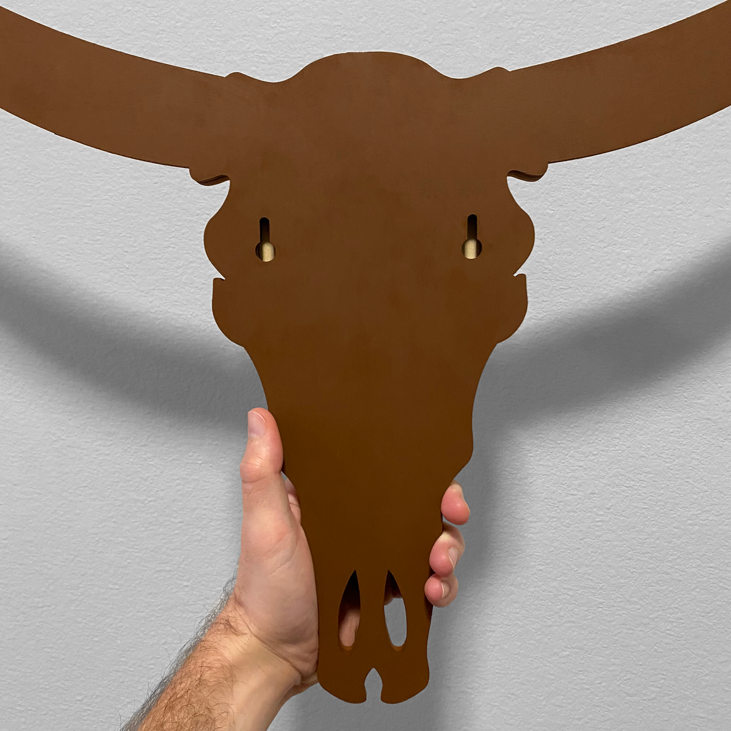 Longhorn, Dimensional Wall Art