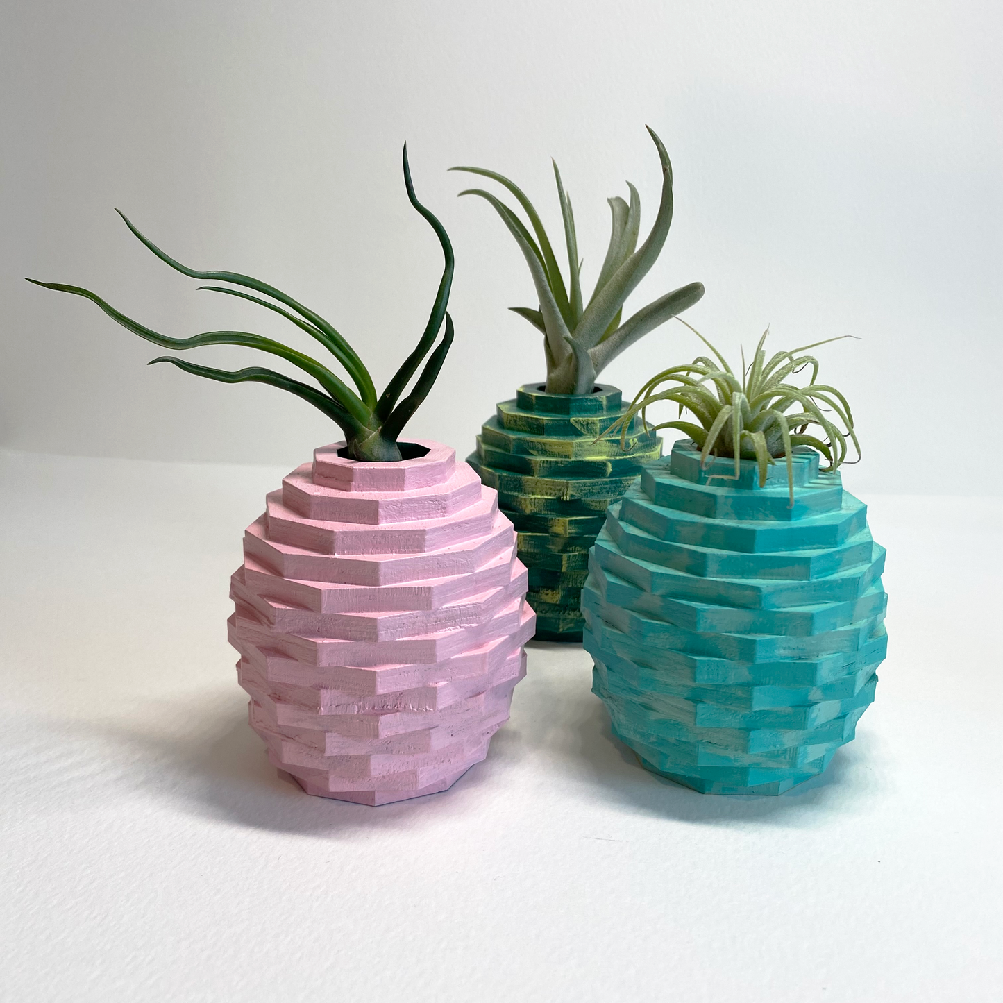 Pineapple, Air Plant Home Decor