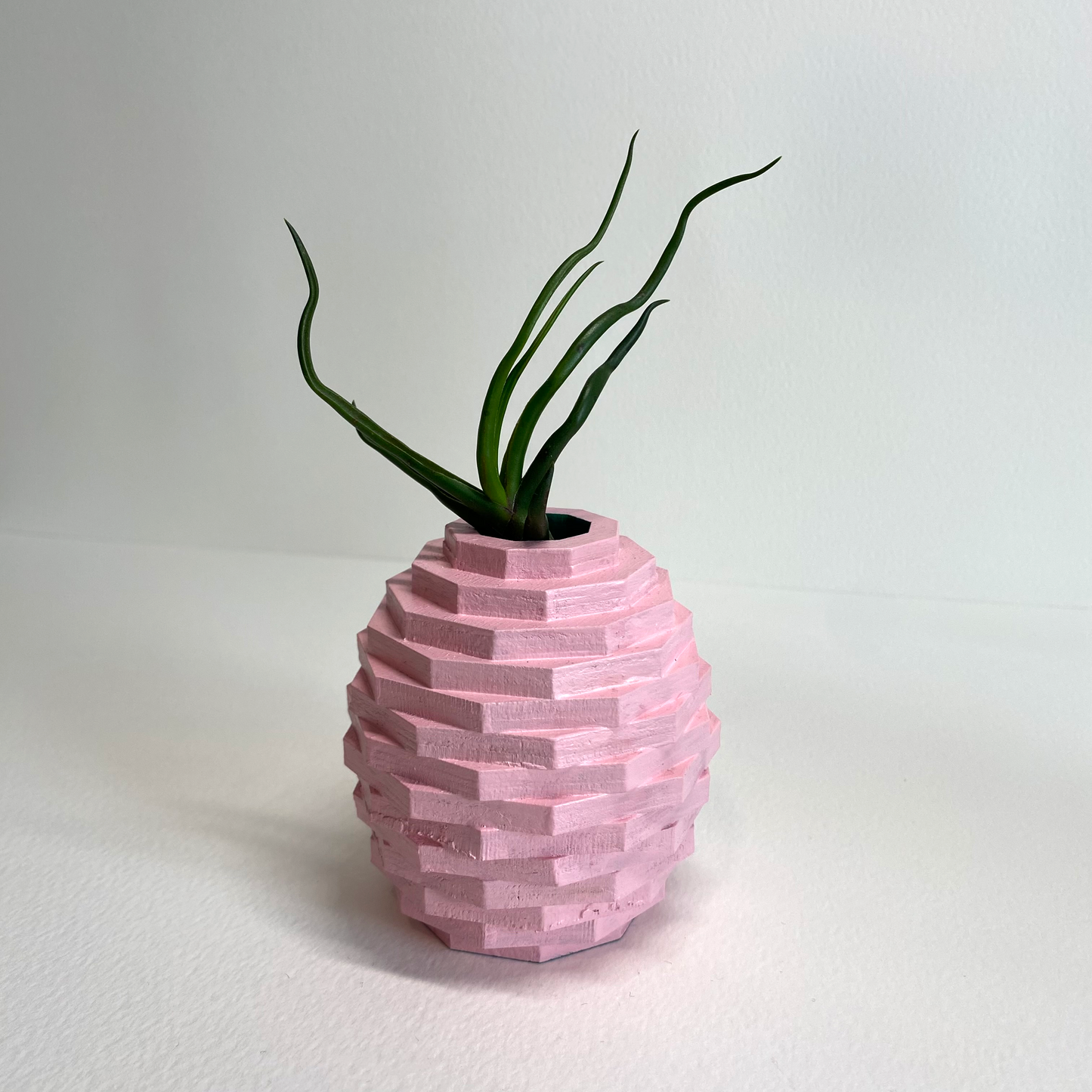 Pineapple, Air Plant Home Decor