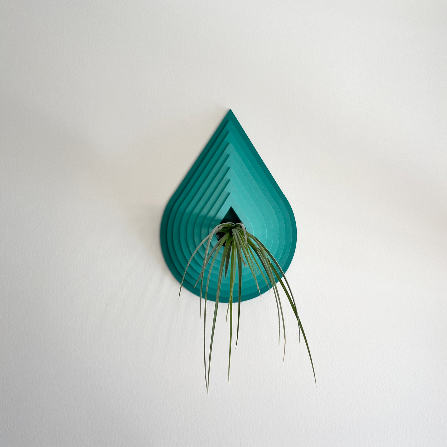 Droplet, Air Plant Home Decor