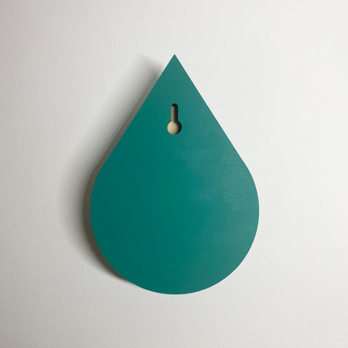 Droplet, Air Plant Home Decor