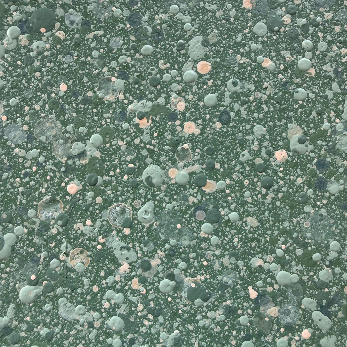 A close-up of a textured paint surface featuring a speckled pattern of sage green, gray, and light peach circular droplet shapes.